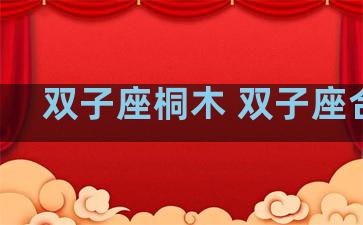 双子座桐木 双子座合集